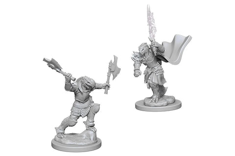 Nolzur's | Dragonborn Fighter (2)