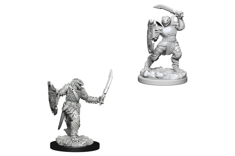 Nolzur's | Dragonborn Paladin (2)