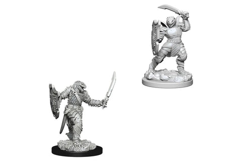 Nolzur's | Dragonborn Paladin (2)