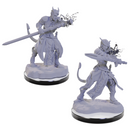 D&D : Nolzur's Player Character - Tiefling (2-Pack)
