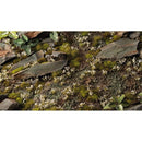 Gamers Grass | Grass Tufts - Tiny Flowers