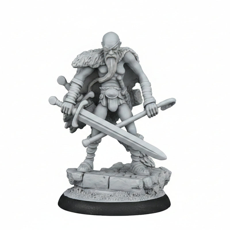 Discworld Miniatures | Cohen the Barbarian (1)