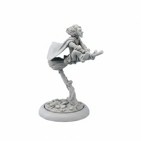 Discworld Miniatures | Magrat on Broom (1)