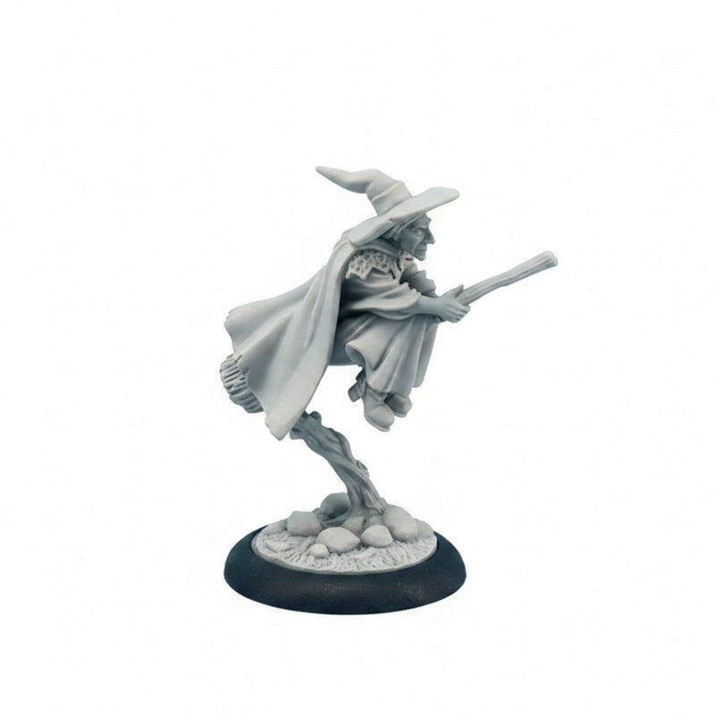 Discworld Miniatures | Esme on Broom (1)