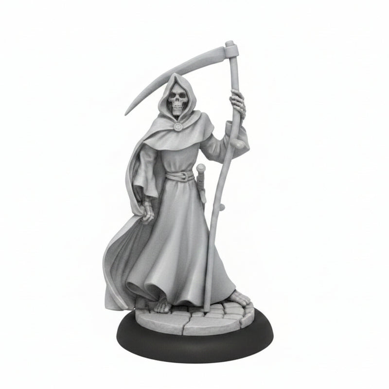 Discworld Miniatures | Death with Death of Rats (1)