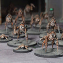 Wargames Atlantic | Harvesters