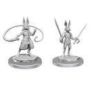D&D : Nolzur's Player Character - Misc. (2-Pack)