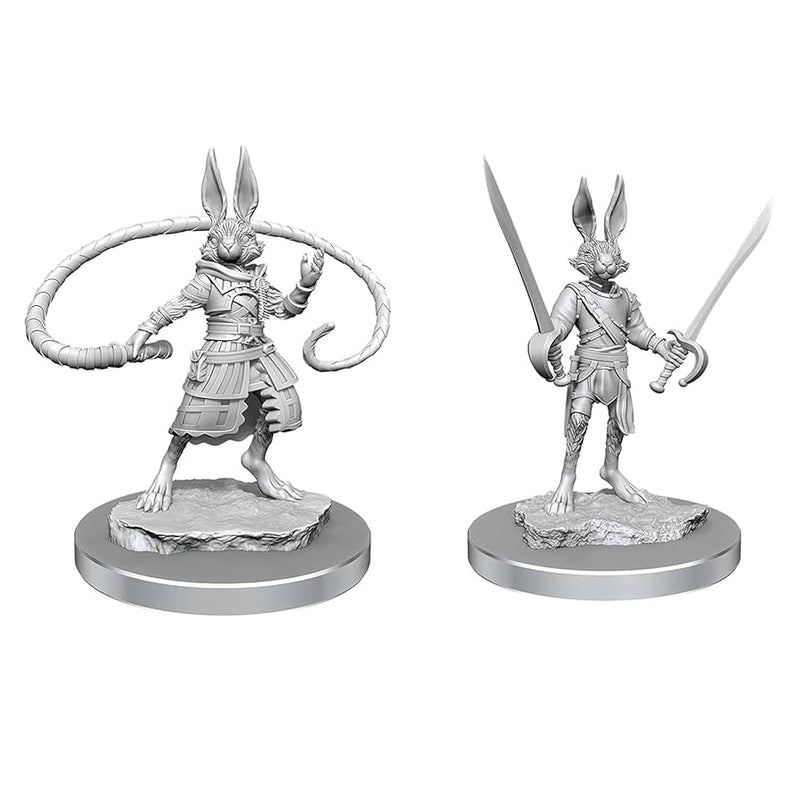 D&D : Nolzur's Player Character - Misc. (2-Pack)