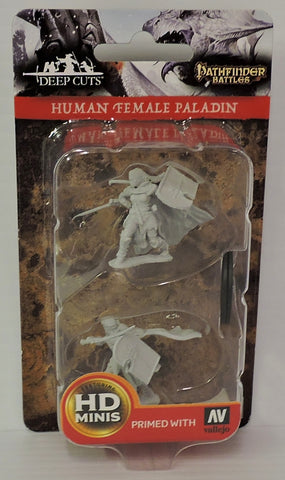 DeepCuts - Player Character : Paladin