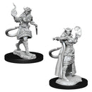 D&D : Nolzur's Player Character - Tiefling (2-Pack)