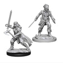 D&D : Nolzur's Player Character - Misc. (2-Pack)