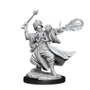 D&D Frameworks Miniatures | Human Wizard