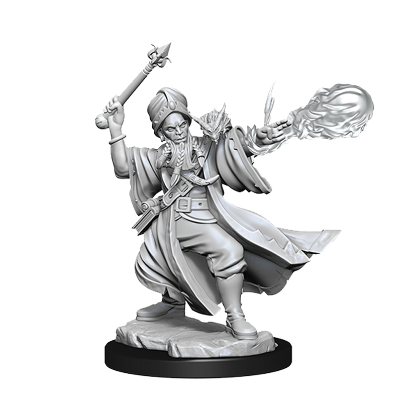 D&D Frameworks Miniatures | Human Wizard