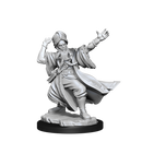 D&D Frameworks Miniatures | Human Wizard