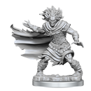 D&D Frameworks Miniatures | Wight