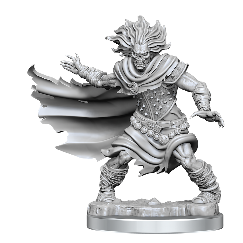D&D Frameworks Miniatures | Wight