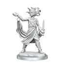D&D Frameworks Miniatures | Medusa