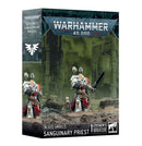 Blood Angels | Sanguinary Priest