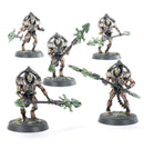 Necrons | Triarch Praetorians / Lychguard
