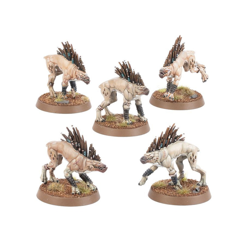T'au Empire | Kroot Hound
