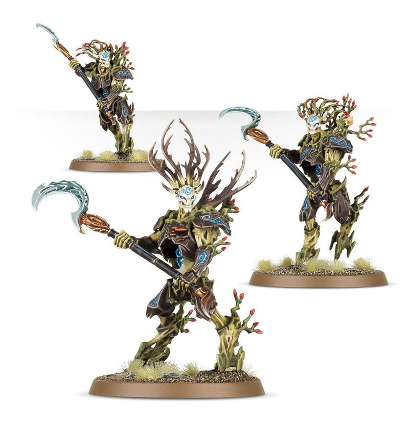 Sylvaneth | Kurnoth Hunters