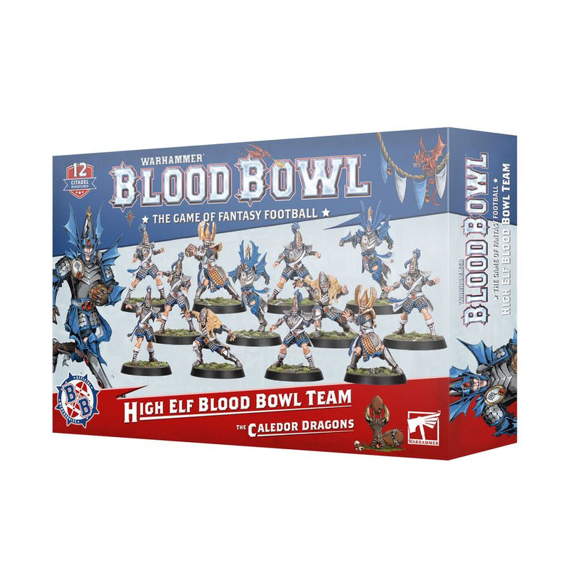 Blood Bowl | High Elf Team, Dice, Reference Card Pack & Pitch
