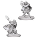 D&D : Nolzur's Player Character - Dwarf (2-Pack)