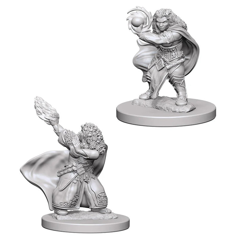 D&D : Nolzur's Player Character - Dwarf (2-Pack)