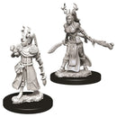 Nolzur's | Human Druid