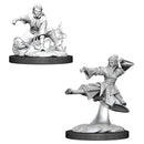 Nolzur's | Human Monk