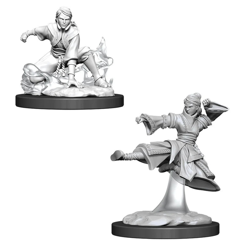 Nolzur's | Human Monk
