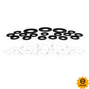 SFG - Base Rings (48)