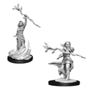 Nolzur's | Human Druid
