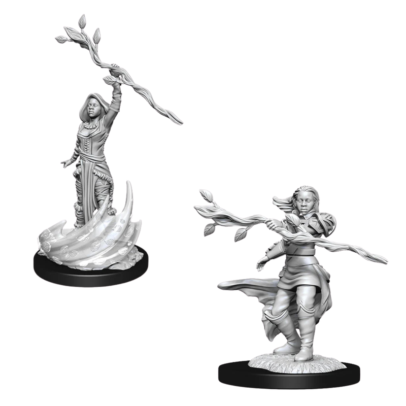Nolzur's | Human Druid
