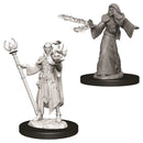 Nolzur's | Elf Wizard