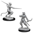 Nolzur's | Tabaxi Rogue
