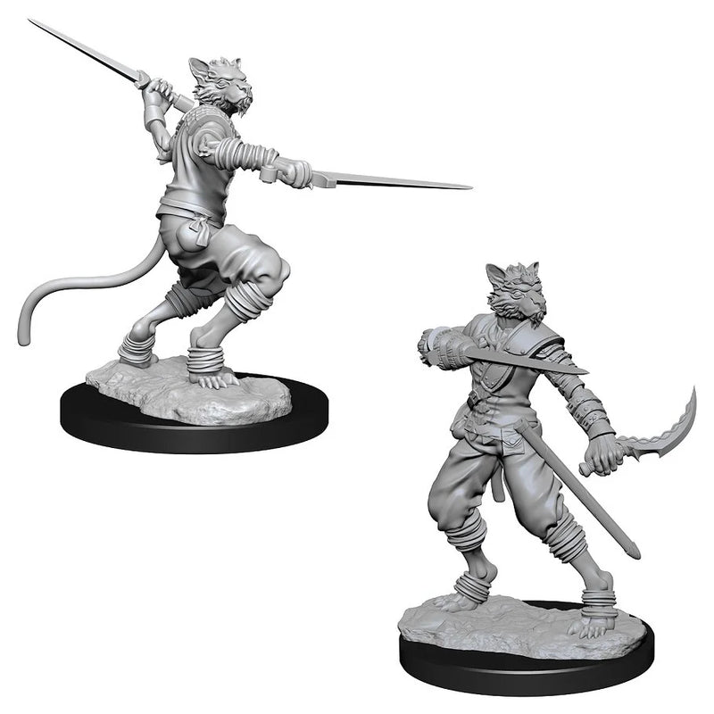 Nolzur's | Tabaxi Rogue