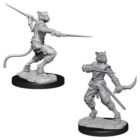 Nolzur's | Tabaxi Rogue