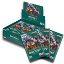 One Piece TCG : Two Legends (OP-08)