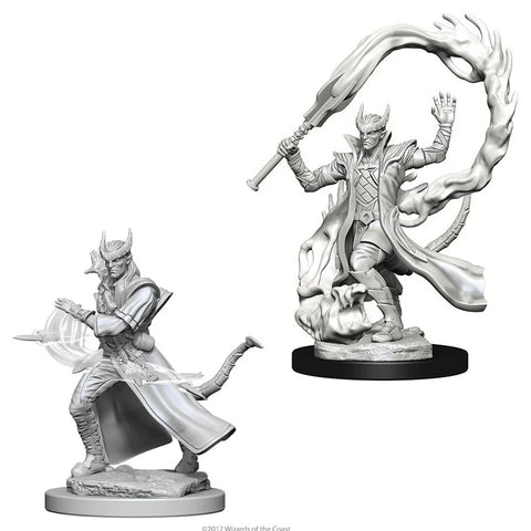 Nolzur's | Tiefling Sorcerer (2)