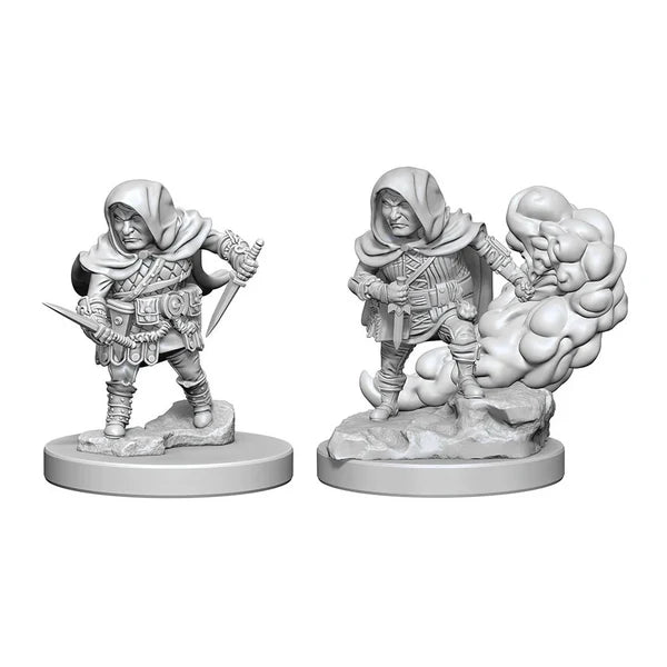 Nolzur's | Halfling Rogue (2)