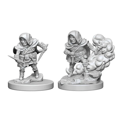 Nolzur's | Halfling Rogue (2)