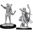 D&D : Nolzur's Player Character - Elf / Half-Elf (2-Pack)