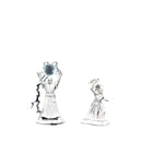 D&D : Nolzur's Player Character - Misc. (2-Pack)