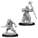 D&D : Nolzur's Player Character - Misc. (2-Pack)