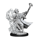 WizK!ds : D&D Frameworks Miniatures