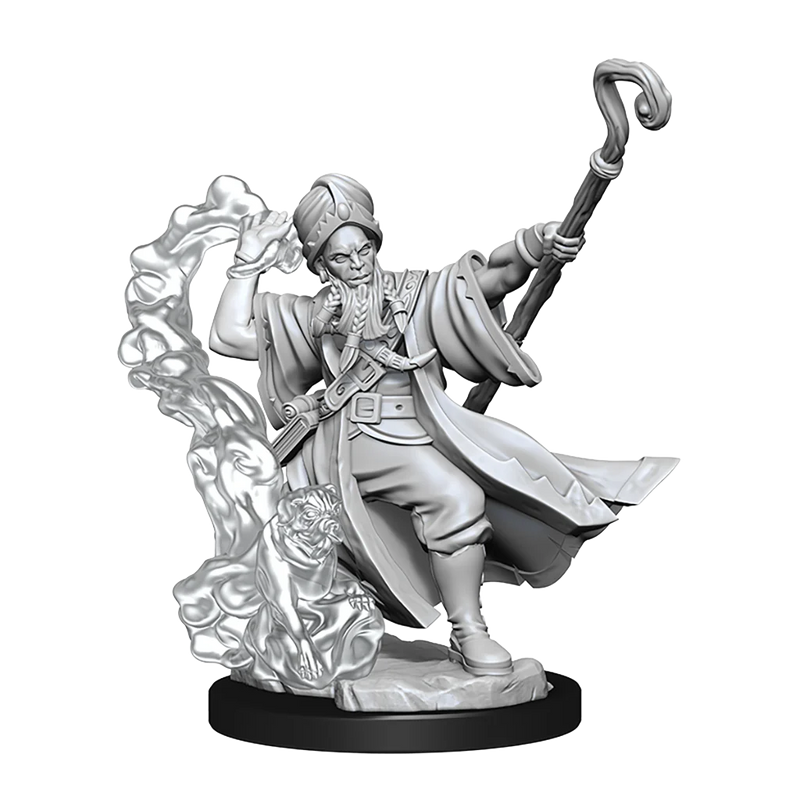 WizK!ds : D&D Frameworks Miniatures