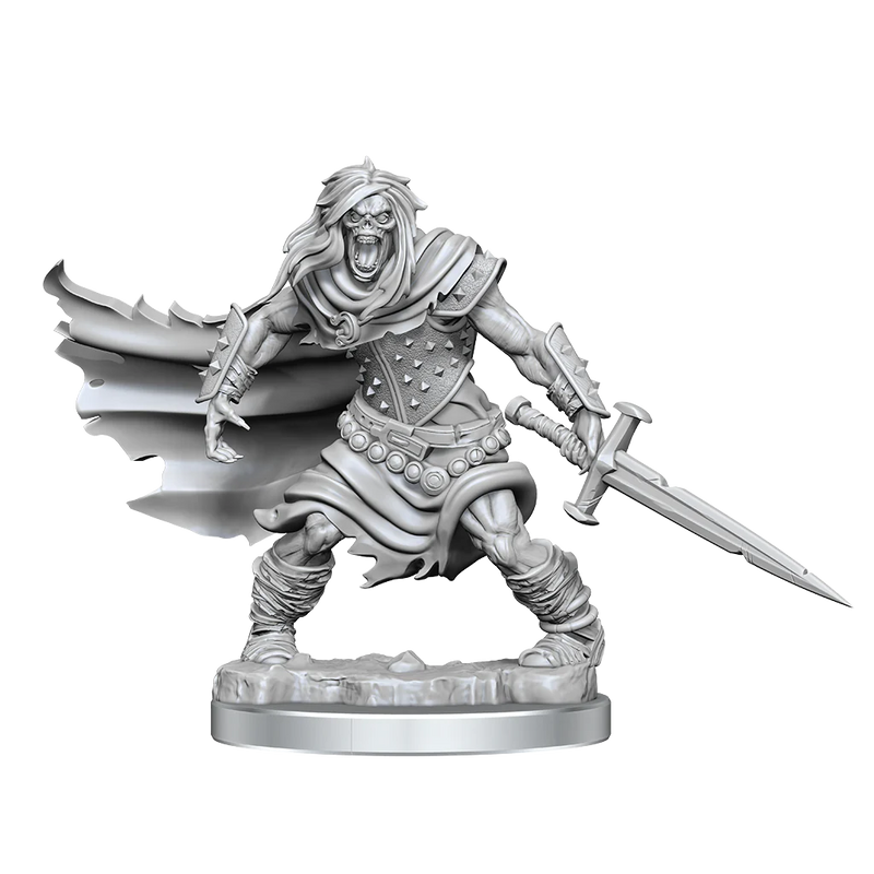 WizK!ds : D&D Frameworks Miniatures