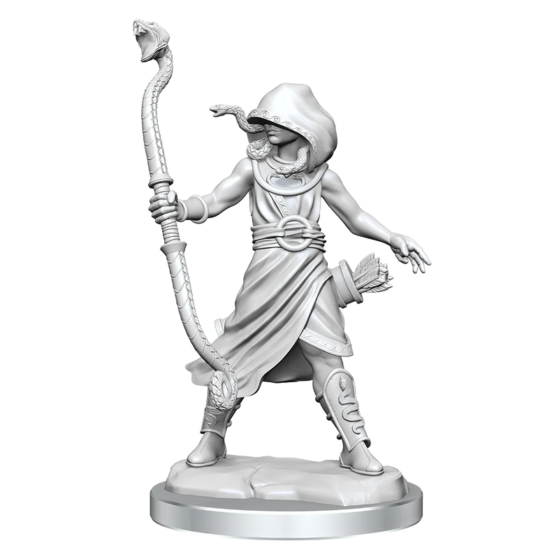 WizK!ds : D&D Frameworks Miniatures