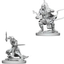 D&D : Nolzur's - Monster (2-Pack)